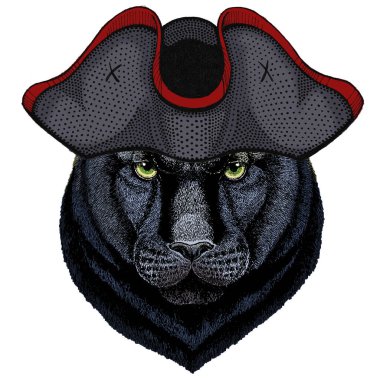 Kara Panter, puma. Hayvan kafası. Vahşi kedi portresi. Şapkalı..