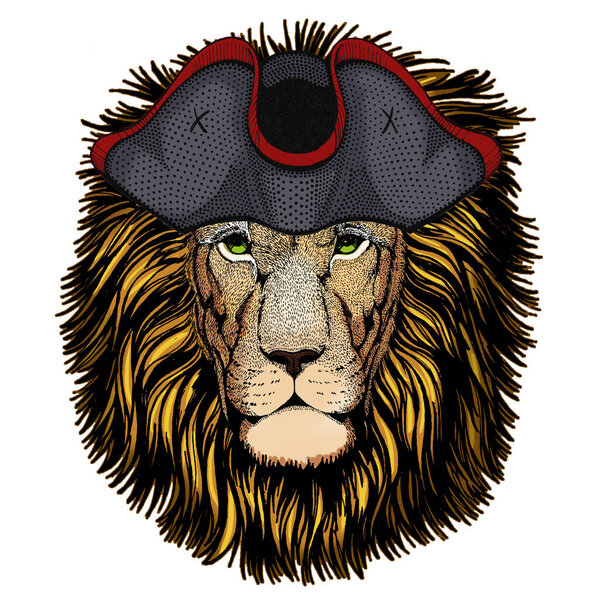 Lion head. Wild animal portrait. Face of african cat. Cocked hat.