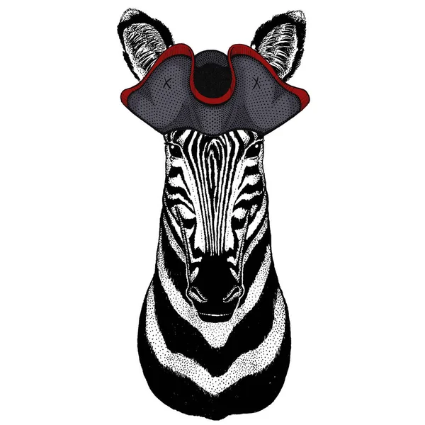 Ritratto zebra. Testa di animale selvatico. Cappello con cappuccio . — Foto Stock