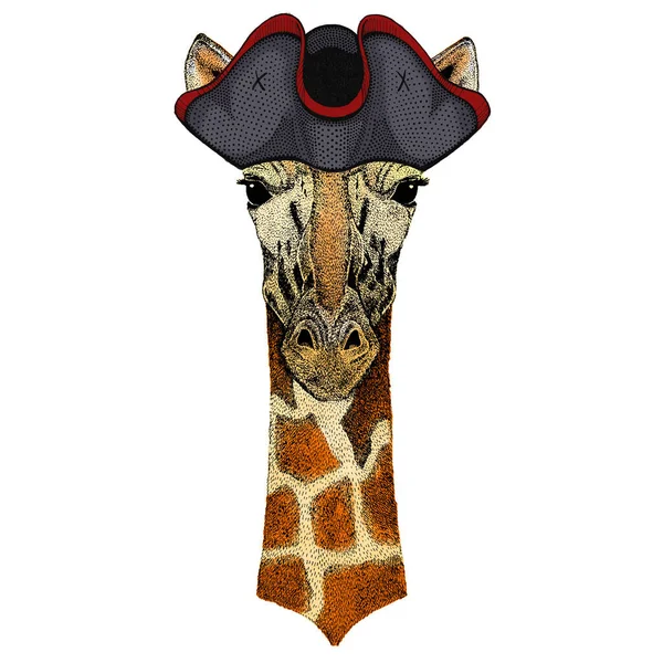 Giraffe head. Portrait of wild animal. Cocked hat. — Stock Photo, Image