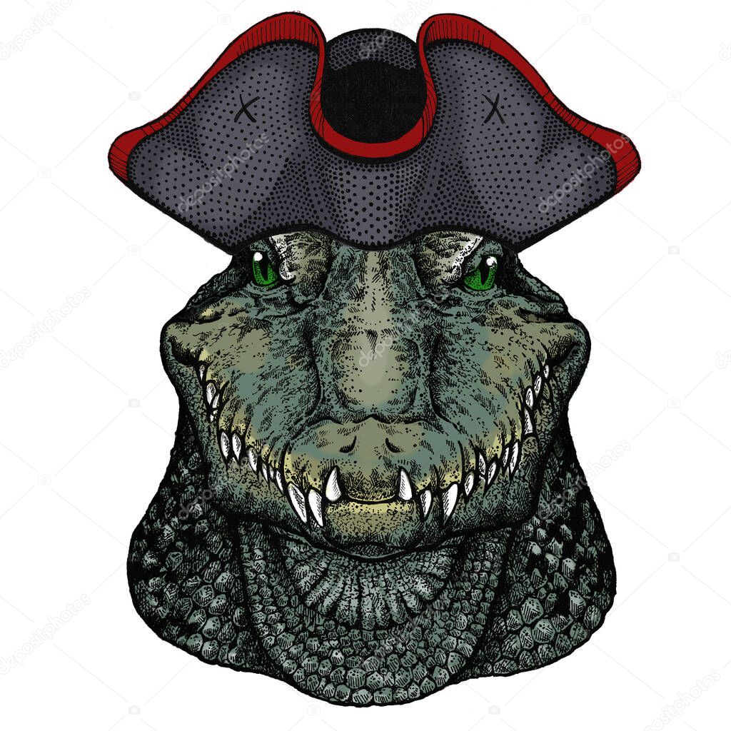 Alligator. Crocodilia. Portrait of african agressive animal. Cocked hat.