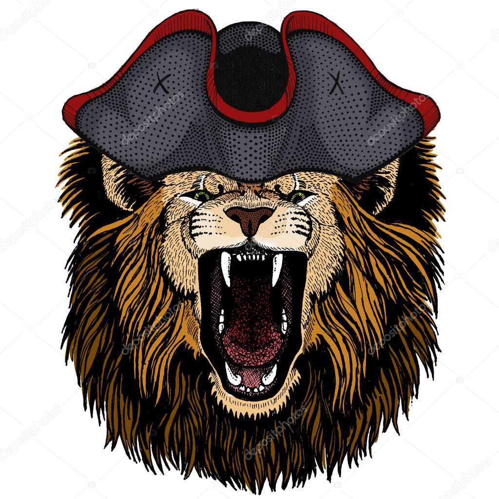 Lion. Wild animal portrait. Face of african cat. Cocked hat.