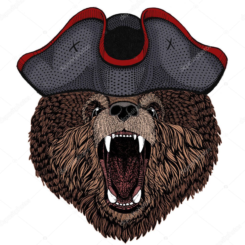Wild bear. Portrait of animal for emblem, logo, tee shirt.