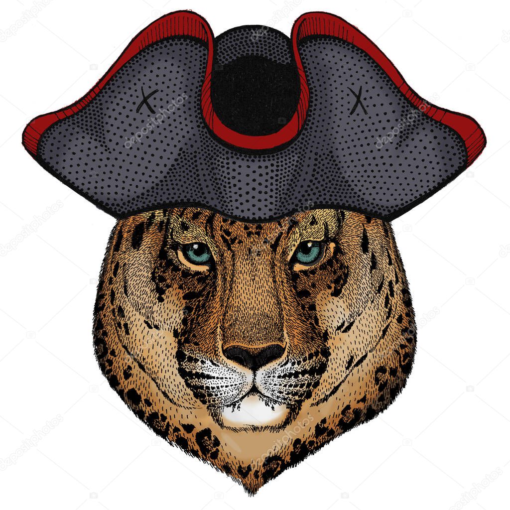 Leopard, jaguar face. Portrait of wild animal. Cocked hat.