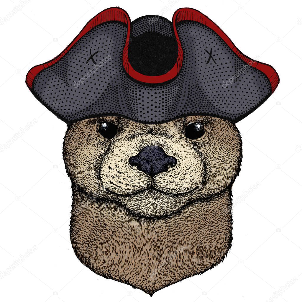 Portrait of otter. Cute animal head. Cocked hat.