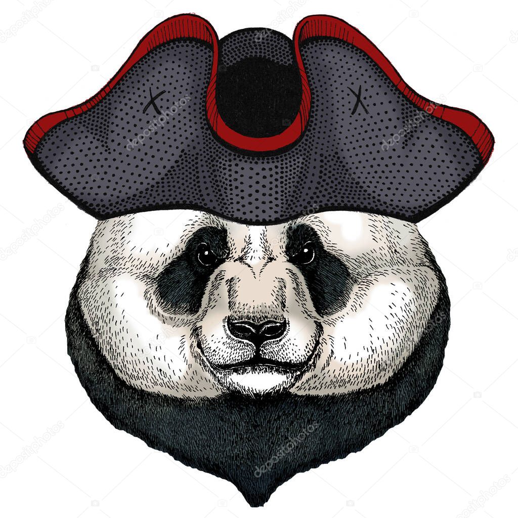 Big panda, bamboo bear portrait. Face of cute animal. Bear head. Cocked hat.