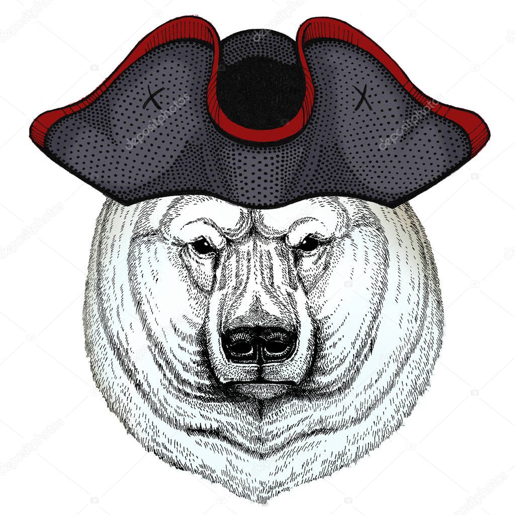 Polar bear portrait. Head of wild animal. Cocked hat.