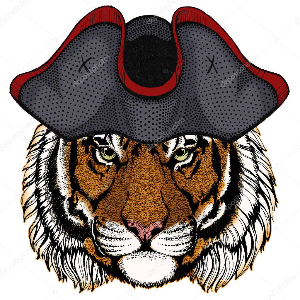 Tiger portrait. Wild cat head. Cocked hat.