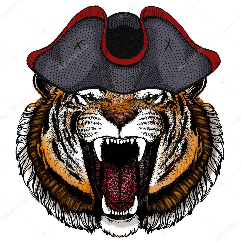 Tiger portrait. Wild cat head. Cocked hat.