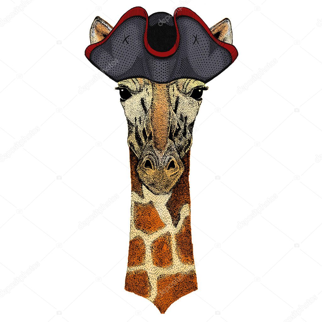 Giraffe head. Portrait of wild animal. Cocked hat.