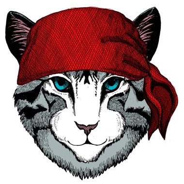 Evcil kedinin yüzü. Hayvan portresi. Şirin kedicik, kedicik. Bandana. Korsan. Motosiklet.