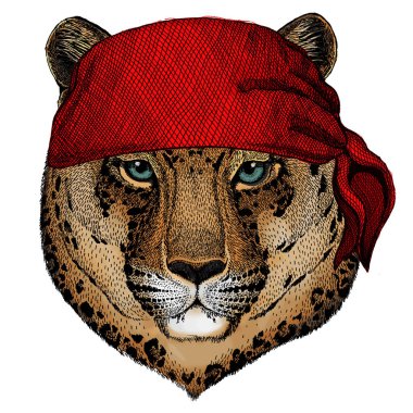 Leopar, jaguar surat. Vahşi hayvan portresi. Bandana. Korsan. Motosiklet.
