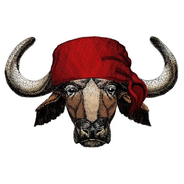 Porträtt av buffel, bisonoxe, tjur, ko. Ett ansikte av djur. Bandana. Pirat. Motorcykel. — Stock vektor