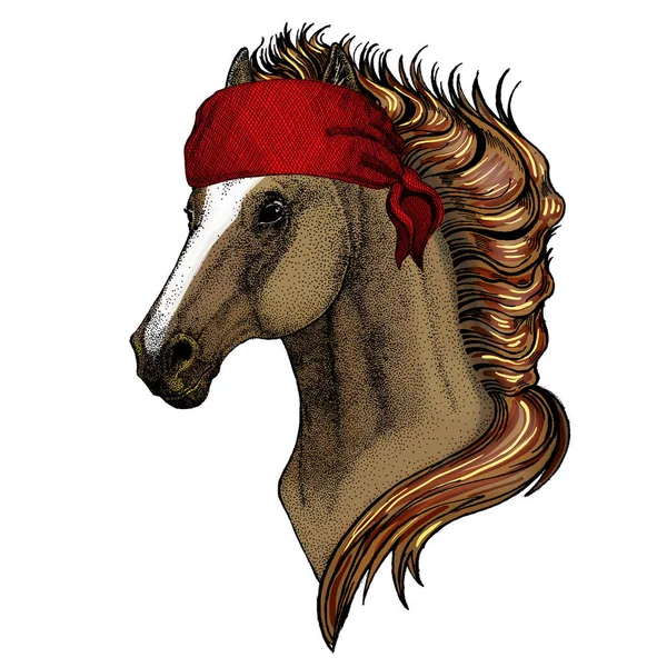 Cheval, cheval, coursier. Portrait d'animal sauvage. Bandana. Pirate. Moto . — Image vectorielle