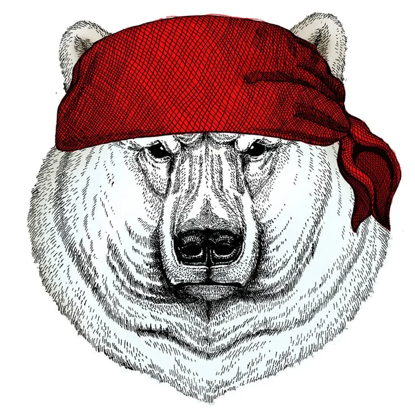 Portrait d'ours polaire. Tête d'animal sauvage. Bandana. Pirate. Moto . — Image vectorielle