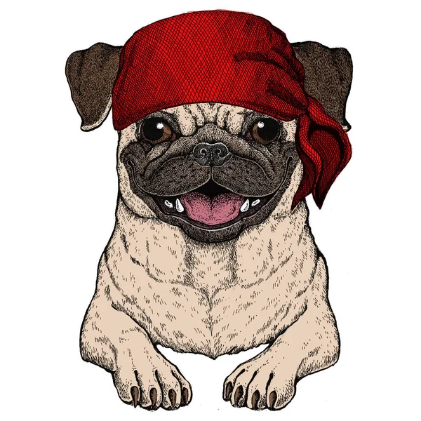 Pug. Cute animal portrait. Dog head. Bandana. Pirate. Motorcycle. — Stock Vector