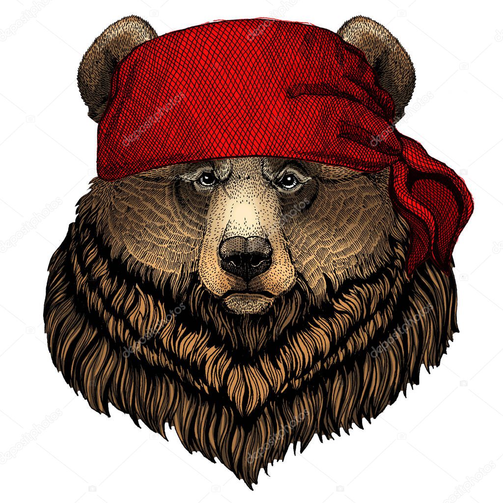 Bandana. Pirate. Motorcycle Mascot character Portrait of animal