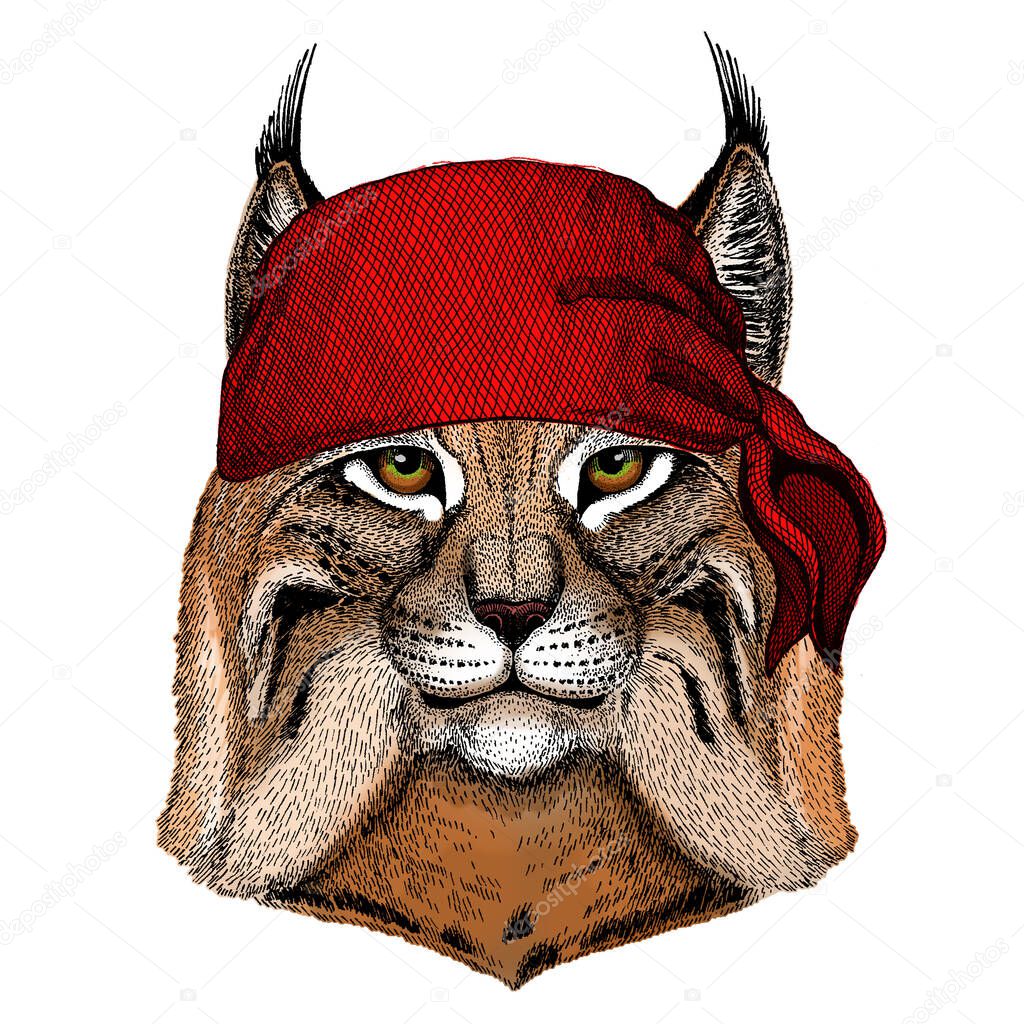 Bandana. Pirate. Motorcycle Mascot character Portrait of animal