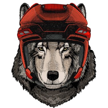 Kurt portresi. Vahşi hayvanların başı..