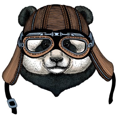 Büyük panda, bambu ayı portresi. Şirin bir hayvanın yüzü. Ayı kafası. Motosiklet kaskı.