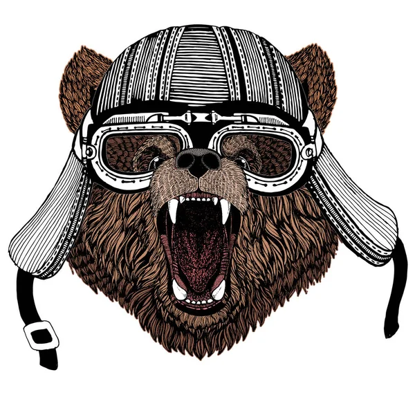 Vildbjörn. Porträtt av djur för emblem, logotyp, t-shirt. Motorcykelhjälm. — Stock vektor