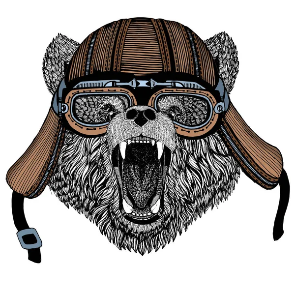 野生の熊。エンブレム、ロゴ、ティーシャツの動物の肖像。オートバイのヘルメット. — ストックベクタ