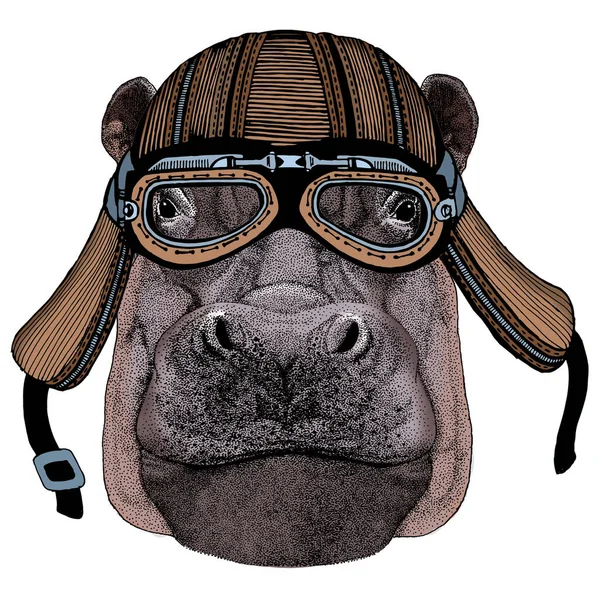 Portrait d'hippopotame, hippopotame. Animal sauvage africain. Casque de moto. — Image vectorielle