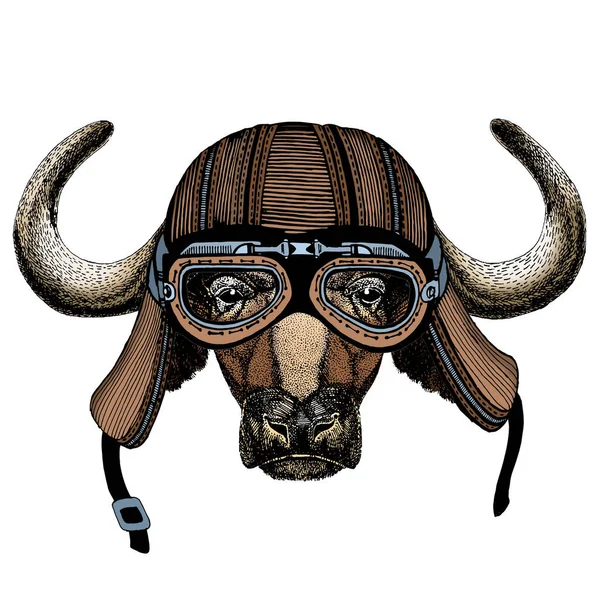 Portrait de buffle, bison, taureau, vache. Visage d'animal. Casque de moto. — Image vectorielle