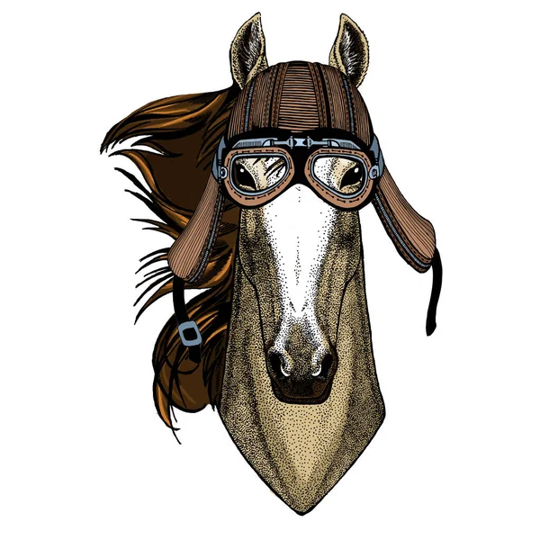 馬、馬、馬、コース。野生動物の肖像画。オートバイのヘルメット. — ストックベクタ