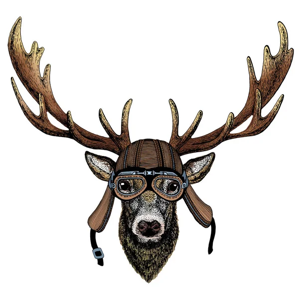 Deer portrait. Head of wild animal. Motorcycle helmet. — Stock Vector