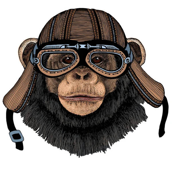Chimpanzé, retrato de chimpanzé. Cara de macaco. Cabeça de macaco. Capacete de motocicleta . —  Vetores de Stock
