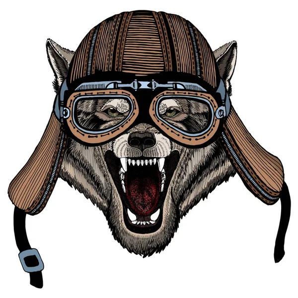 Wolf portrait. Head of wild animal. Motorcycle helmet. — Stock Vector