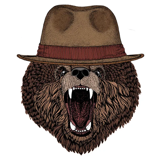 Wild bear. Portrait of animal for emblem, logo, tee shirt. Fedora classic hat. — Stock Vector