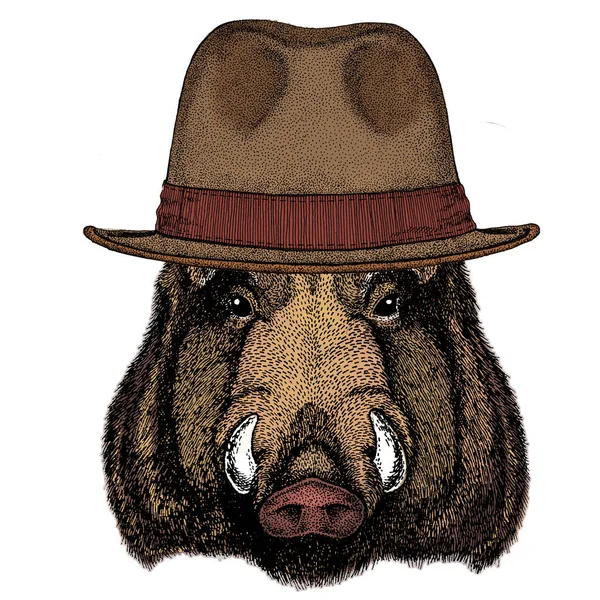 Portret van wild zwijn, zwijn, varken. Het gezicht van een dapper dier. Fedora klassieke hoed. — Stockvector