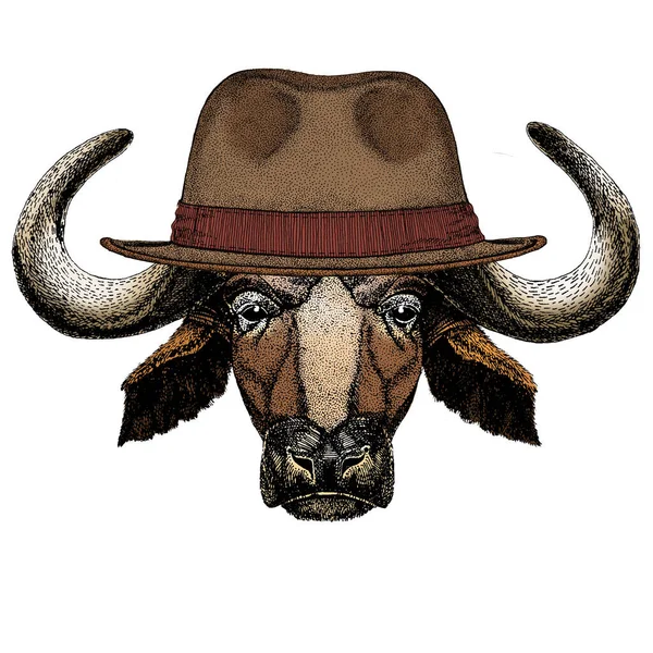 Retrato de búfalo, bisonte, toro, vaca. Cara de animal. Sombrero clásico Fedora . — Vector de stock