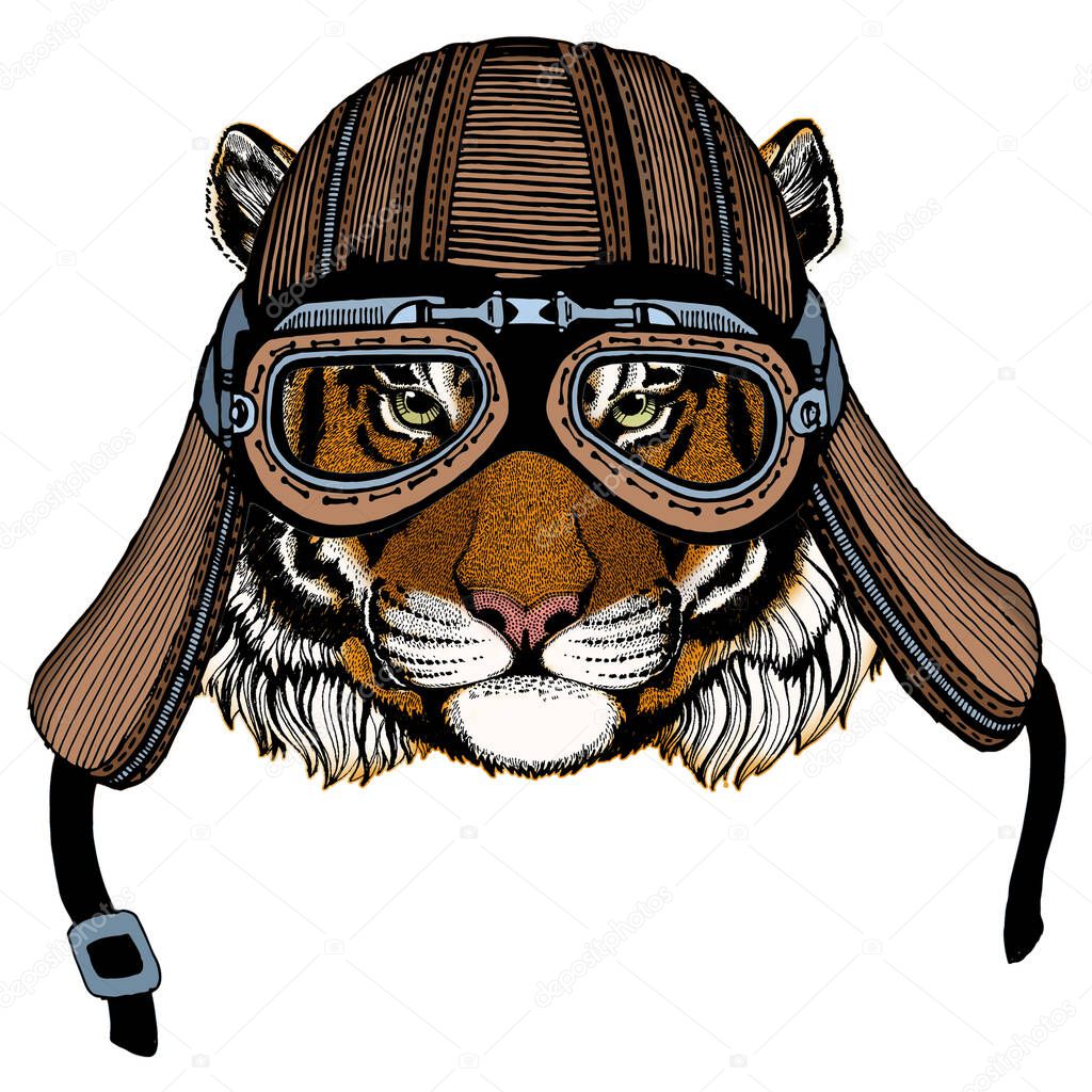 Tiger portrait. Wild cat head. Motorcycle helmet.