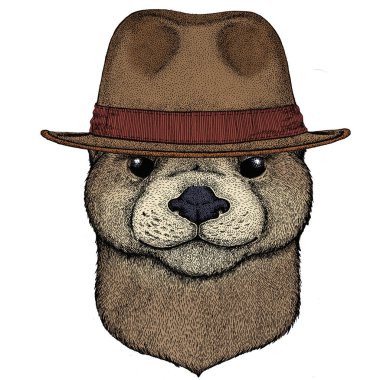 Su samuru portresi. Sevimli hayvan kafası. Fötr şapka..