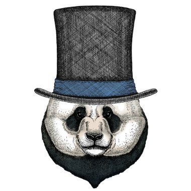 Büyük panda, bambu ayı portresi. Silindir şapka.