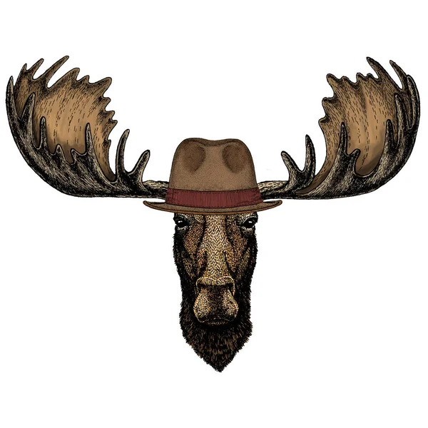 Moose head. Portrait of funny animal. Fedora classic hat. — Stock Vector
