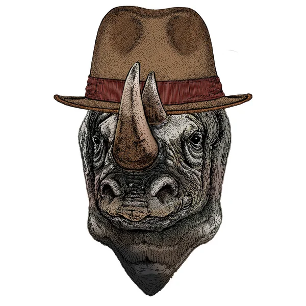 Rhinoceros, rhino portrait. Head of wild animal. Fedora classic hat. — Stock Vector