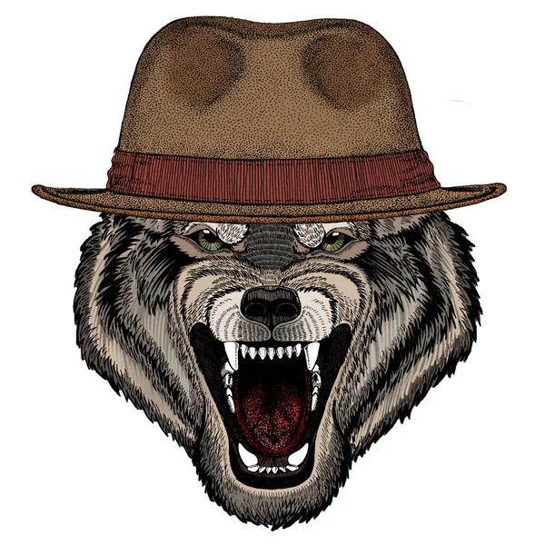 Retrato de lobo. Cabeça de animal selvagem. Chapéu clássico Fedora . —  Vetores de Stock