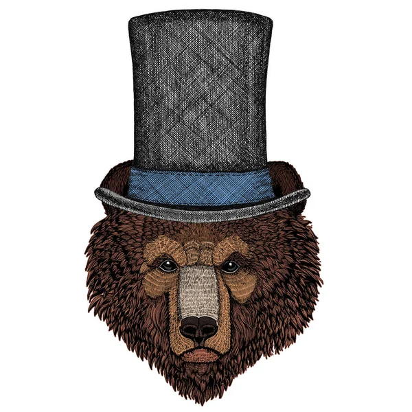 Дикий медведь. Портрет животного для эмблемы, логотипа, футболки. Цилиндрическая шляпа . — стоковый вектор