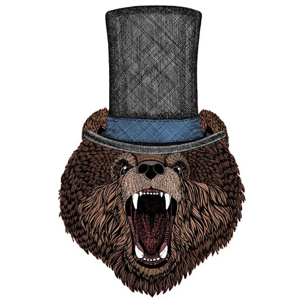Wilde beer. Portret van dier voor embleem, logo, T-shirt. Cilinderhoed. — Stockvector