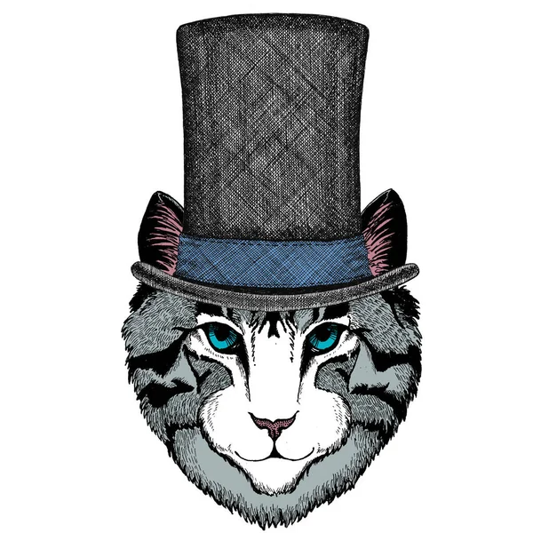 Лицо домашнего кота. Портрет животного. Цилиндрическая шляпа . — стоковый вектор