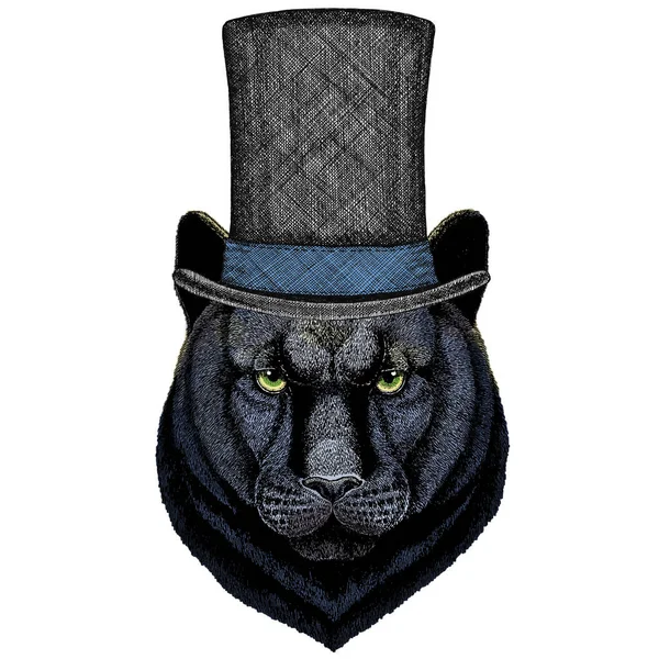 Черная пантера, пума. Цилиндрическая шляпа. Портрет дикой кошки . — стоковый вектор