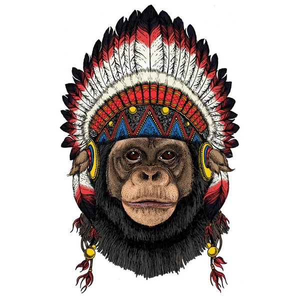 Chimpanzee, chimp portrait. Monkey face. Ape head. Indian traditional headdress. — Stock Photo, Image