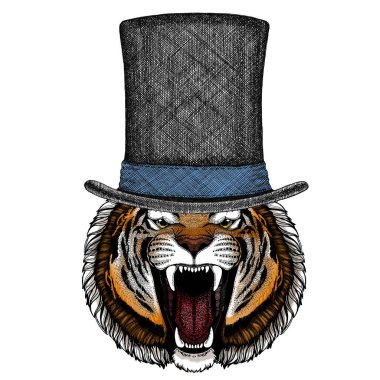 Kaplan portresi. Vahşi kedi kafası. Silindir şapka.