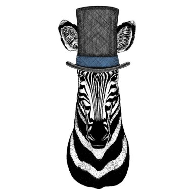 Zebra portresi. Vahşi hayvanların başı. Silindir şapka.