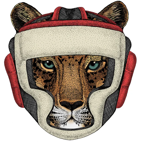 Léopard, visage de jaguar. Portrait d'animal sauvage. Casque de boxe . — Image vectorielle