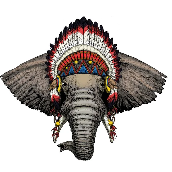 Sloní hlava. Portrét divokého zvířete. Indická tradiční čelenka. — Stockový vektor